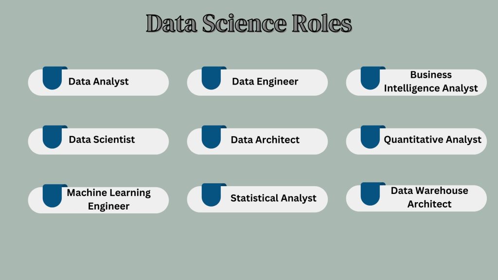 data science roles